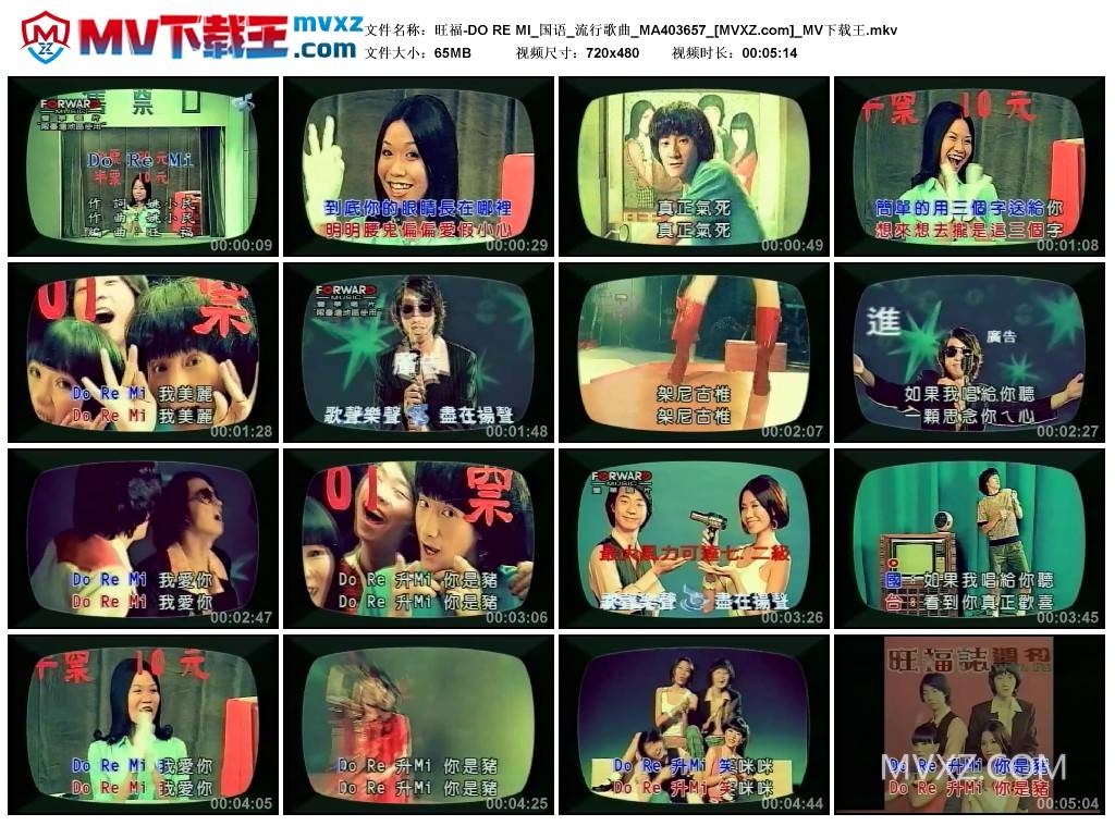 旺福-DO RE MI_国语_流行歌曲_MA403657